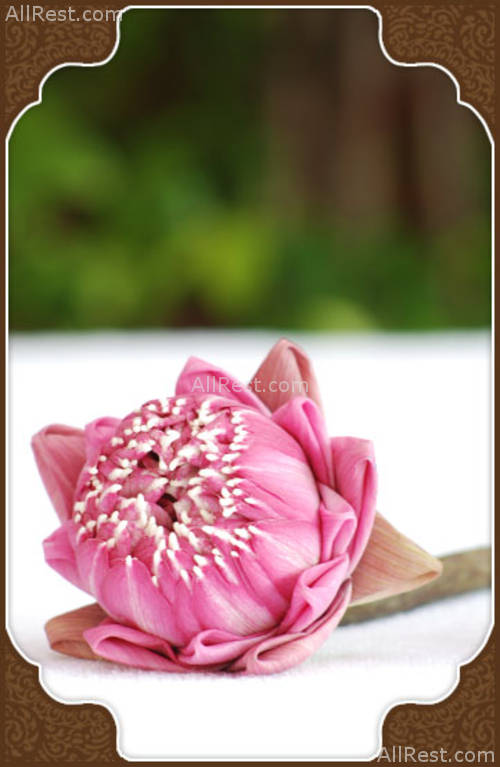 Sukko Cultural Spa Resort 21